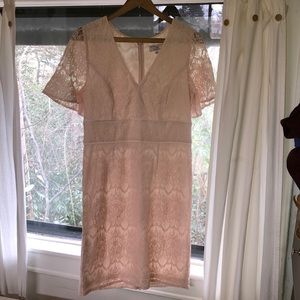 Adrianna Papell Light Pink Lace Dress, Size 12